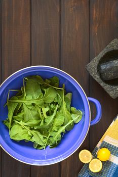 Overhead shot of rucola (lat. Eruca sativa) leaves in blue metal strainer with lemon, mortar and pestle, photographed on dark wood with natural light