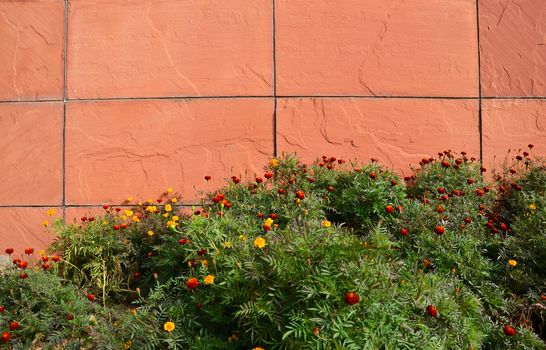 Flowers by a Red Stone Wall