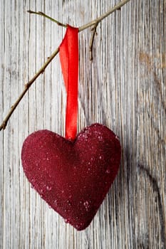 Red heart hanging on a tree branch.
