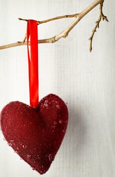 Red heart hanging on a tree branch.
