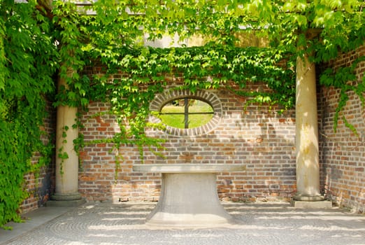 Photo shows details of green garden and its flowers.