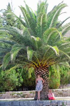 Young woman is standing near the palm tree