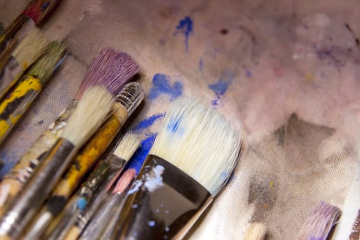 collection of various artists brushes in all sizes on a canvas background