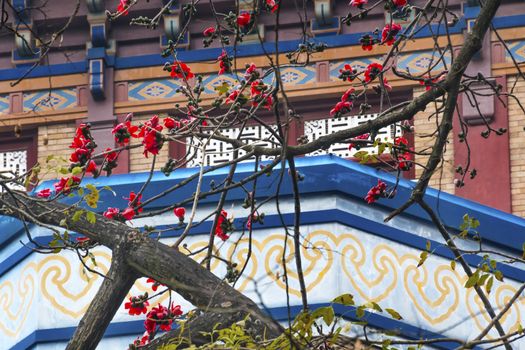 Red Bombax Ceiba Kapok Cotton Flower Guangzhou City Flower Sun Yat-Sen Memorial Guangzhou City Guangdong Province China.  Sun Yat-Sen's Memorial was constructed between 1929 to 1931 and is a memorial to the person, who inspired the Chinese revolution.  Sun Yat-Sen statue was 1956.