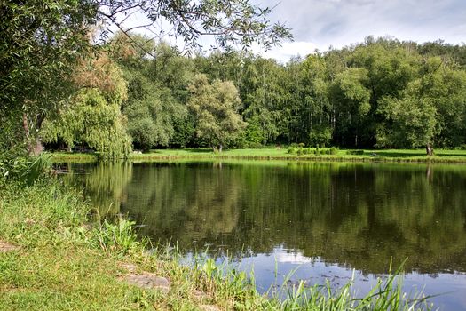 Nature, on the shore of the lake is rich greens and sky reflected in water.