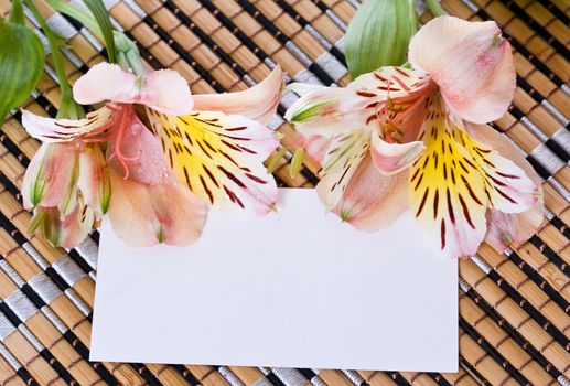 Alstroemeria flowers with a white card for a message.