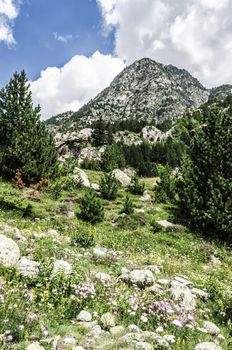 Amazing landscape at the Pyrenees mountains in France