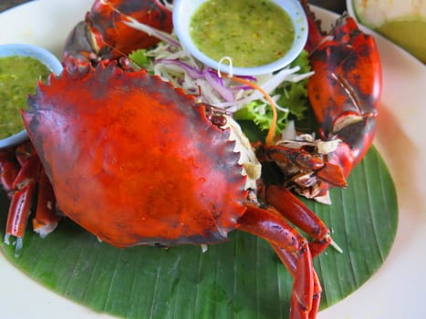 closed up the crab with seafood sauce