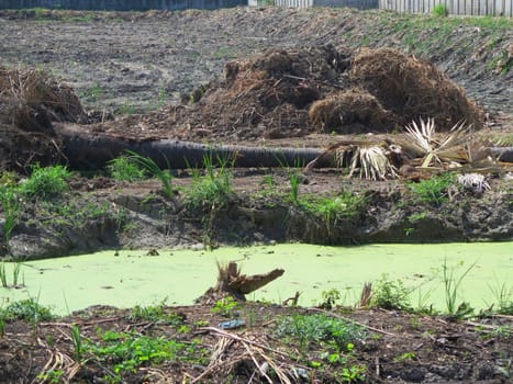 view of mud field and the basin