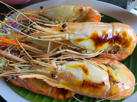 closed up the grilled shrimp on a dish