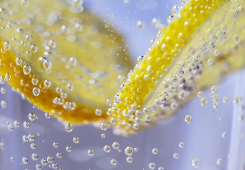 Lemon Slices in Clear Soda Water (Bubble Background Macro)