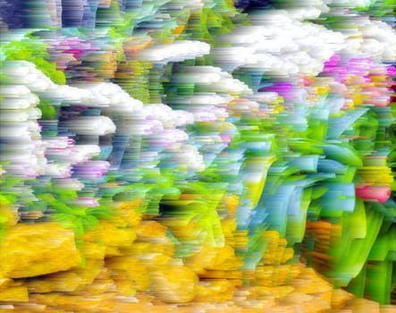 Abstract blur background and soft colorful nature