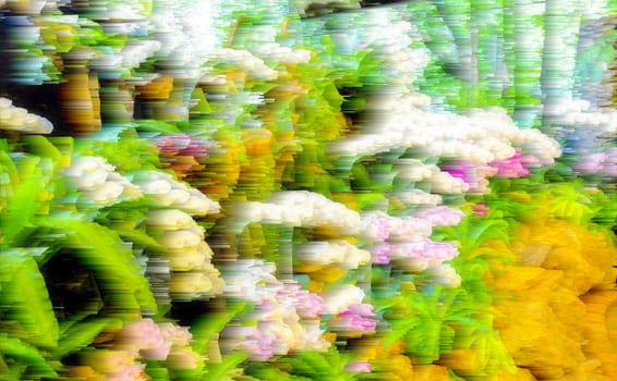 Abstract blur background and soft colorful nature