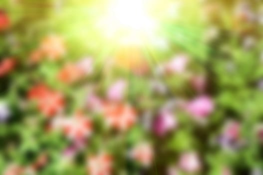 Abstract blurred background colorful floral on natural.