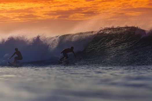 Surfer on Amazing Wave at sunset time, Bali island.