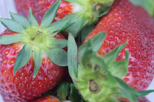 Two fresh strawberries macro view