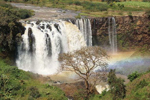 Blue Nile waterfalls, Bahar Dar, Ethiopia, Africa