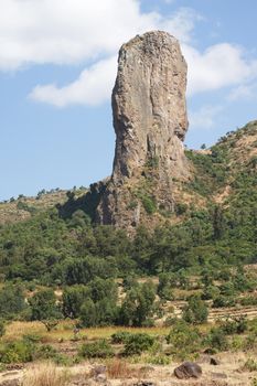 Vultures rock close to Gondar, Ethiopia, Africa