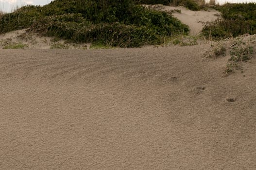 wind waves of sand dunes