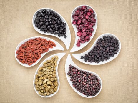 dried superfruit collection - goji berry, white mulberry, blueberry, aronia, elderberry and cheery in teardrop shaped bowls