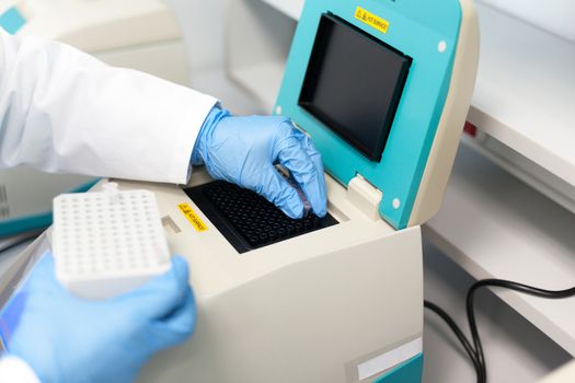 Gloved hand of technician loading test tubes with sampled DNA for polymerase chain reaction - PCR
