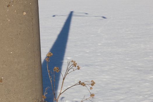 Burr and power line support on the background of white snow