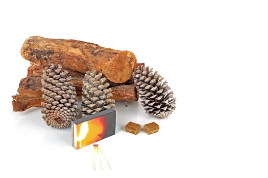 Wood, pineapple cones and matches for making the fire