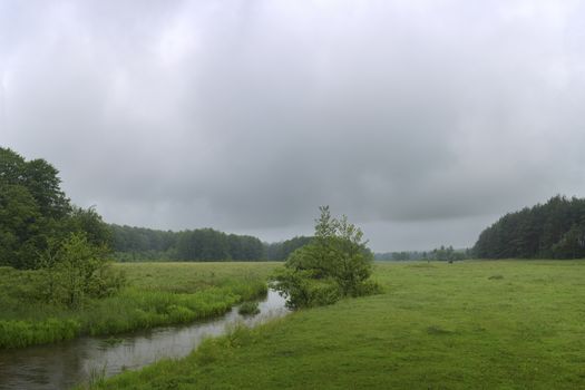 Green River flowing through green field on a summer  morning