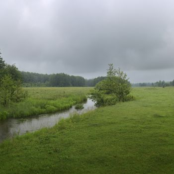 Green River flowing through green field on a summer  morning