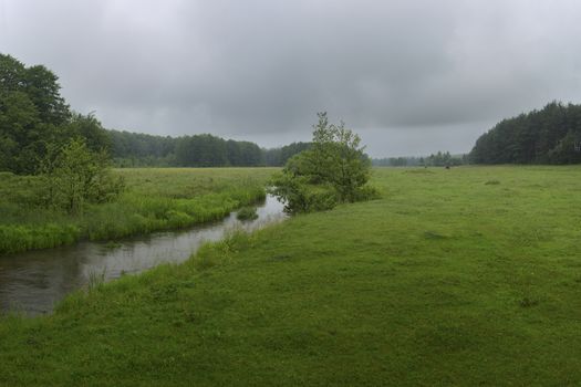 Green River flowing through green field on a summer  morning