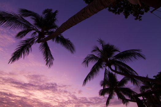 Morning at Chaweng Beach, Samui, Thailand.