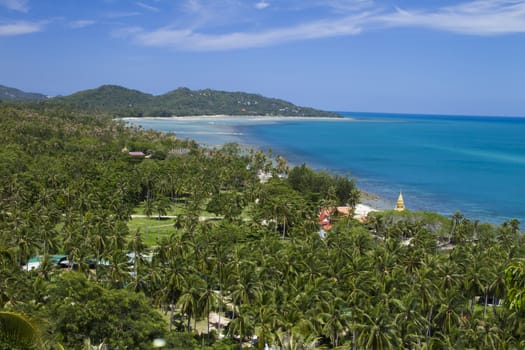 tropical beach with coconut palm trees. Koh Samui, Thailand