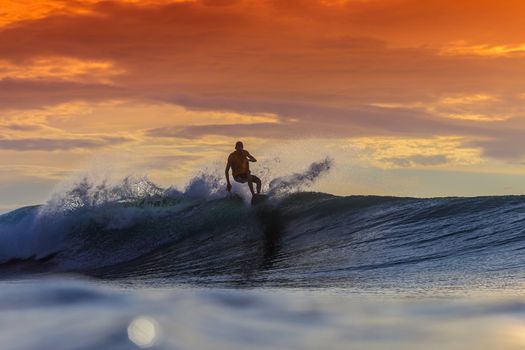 Surfer on Amazing Wave at sunset time, Bali island.
