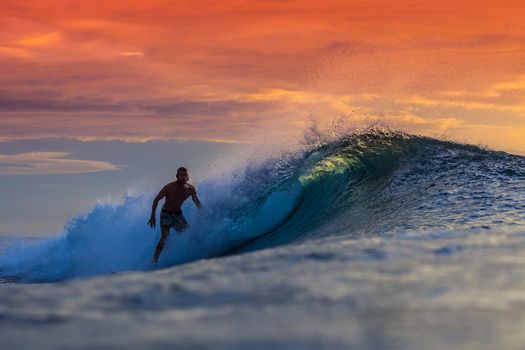 Surfer on Amazing Wave at sunset time, Bali island.