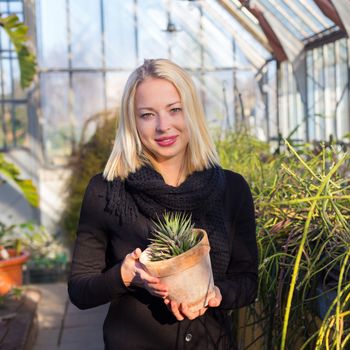 Portrait of florists woman working with flowers in a greenhouse holding a pot plant in her hand. Small business owner.