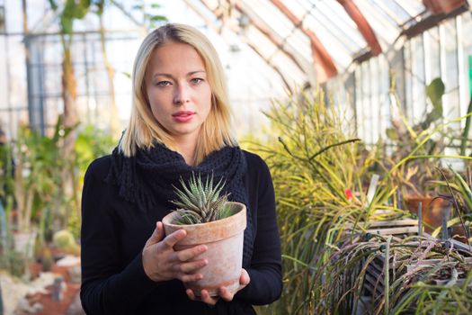 Portrait of florists woman working with flowers in a greenhouse holding a pot plant in her hand. Small business owner.