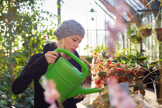 Portrait of florists woman working with flowers in a greenhouse holding a watering can in her hand. Small business owner.