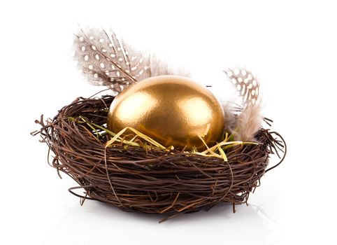 Golden egg in nest on white background