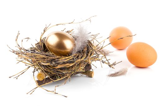 Golden egg in nest on white background