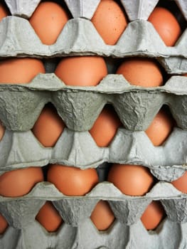               picture of  fresh eggs  in box for sale at a market                 