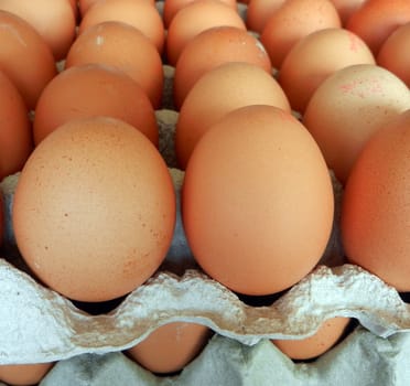               picture of  fresh eggs  in box for sale at a market                 