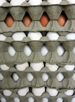               picture of  fresh eggs  in box for sale at a market                 