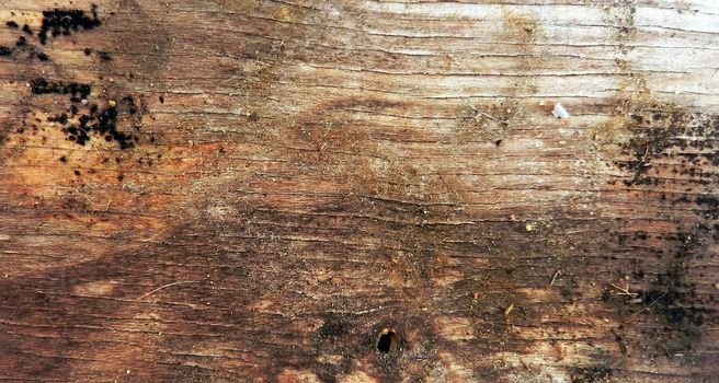 pic of old wooden background, texture of a plate