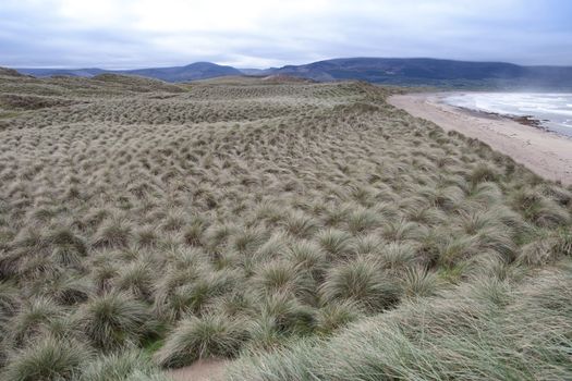 view of dunes at the maharees a beautiful beach in county Kerry Ireland