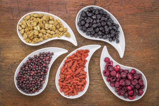 dried superfruit collection - goji berry, white mulberry, blueberry, elderberry and cheery in teardrop shaped bowls against rustic wood