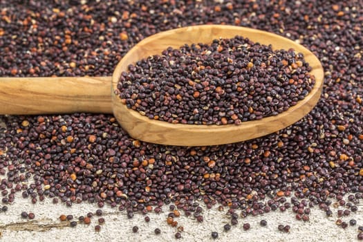 gluten free black quinoa grain grown in Bolivia on a wooden spoon against white painted grunge wood