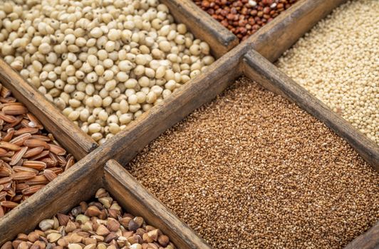 teff and other gluten free grains in a wooden rustic box