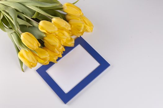 Bouquet of yellow tulips with blue photo frame, nice background for congratulations.