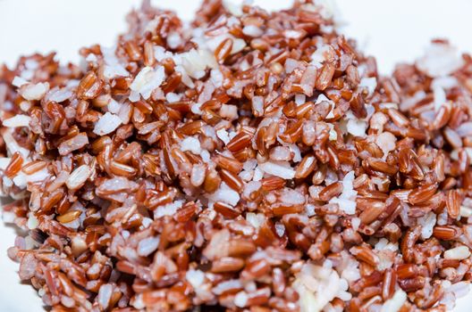 Close up cooked Brown Rice on a white plate.