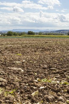 Harvested potato field with rotovated or ploughed earth and the odd remaining potato with green crops visible in the distance in an agricultural landscape